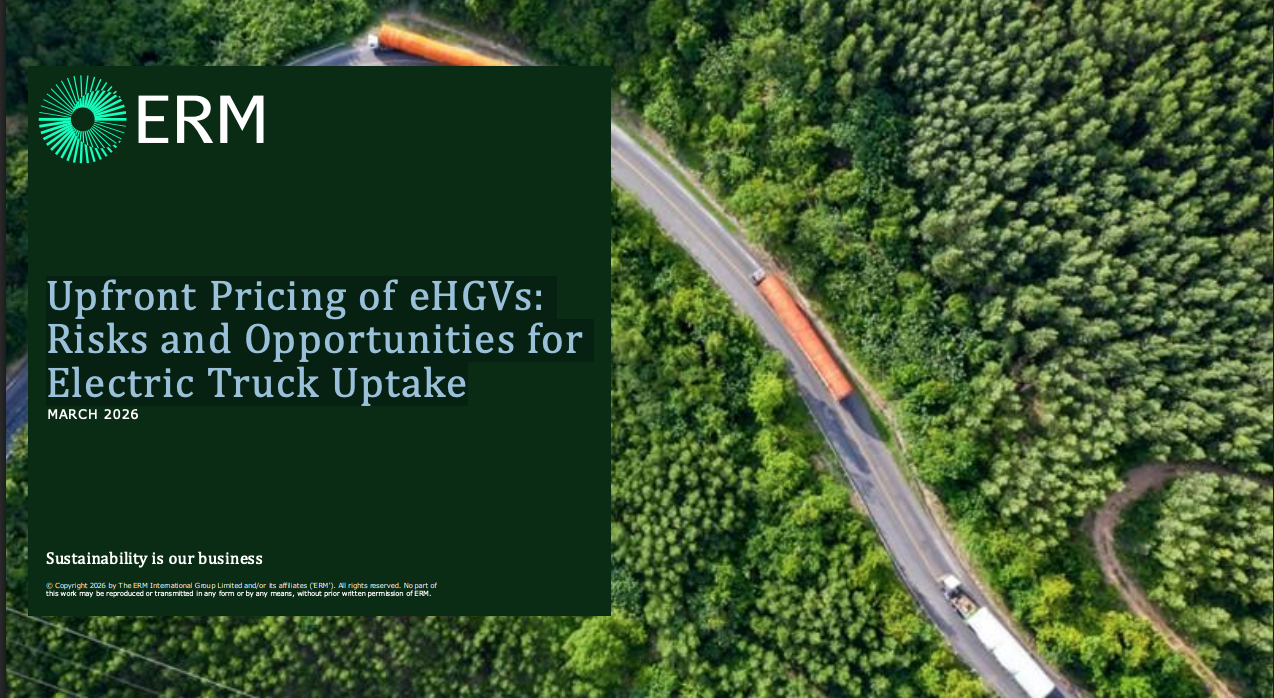 Upfront Pricing of eHGVs: Risks and Opportunities for Electric Truck Uptake